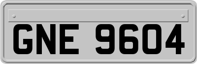 GNE9604