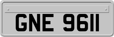 GNE9611