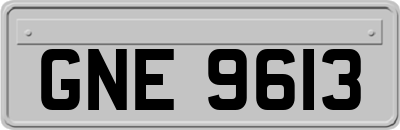 GNE9613