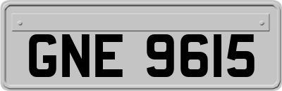 GNE9615