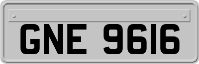 GNE9616