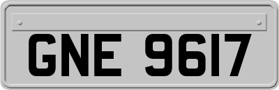 GNE9617