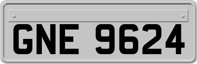 GNE9624