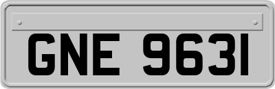 GNE9631