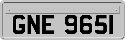GNE9651