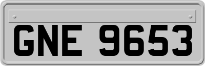 GNE9653