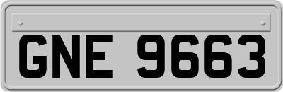 GNE9663