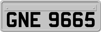 GNE9665