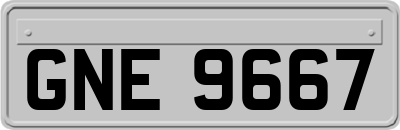 GNE9667