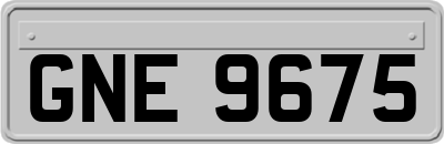GNE9675