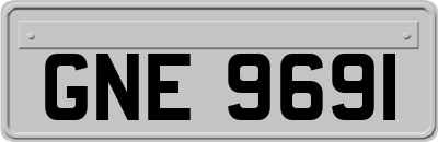GNE9691