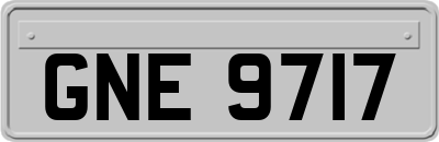 GNE9717