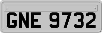 GNE9732
