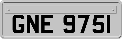 GNE9751