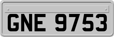 GNE9753