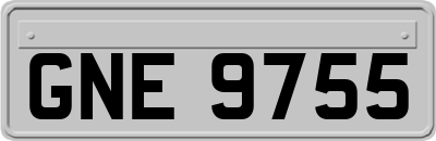 GNE9755