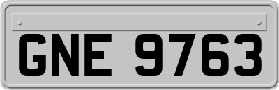 GNE9763