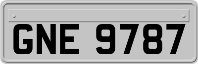 GNE9787