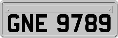 GNE9789