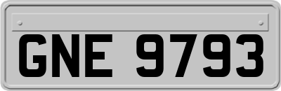 GNE9793
