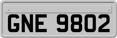 GNE9802