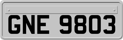 GNE9803