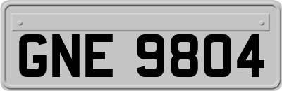 GNE9804