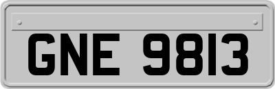 GNE9813