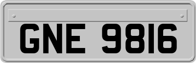 GNE9816