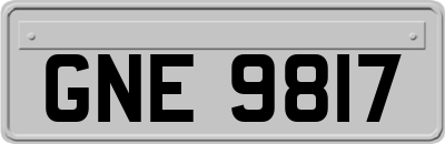 GNE9817