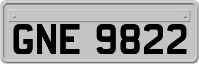 GNE9822