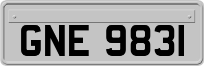 GNE9831