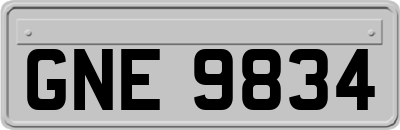 GNE9834