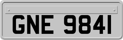 GNE9841
