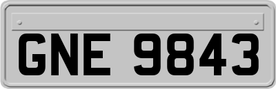 GNE9843