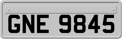 GNE9845