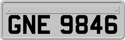 GNE9846