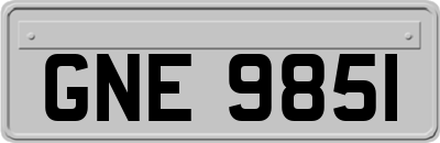 GNE9851