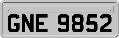 GNE9852