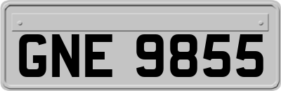 GNE9855
