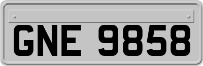 GNE9858