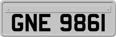 GNE9861