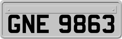 GNE9863