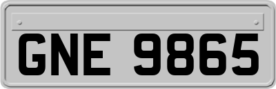 GNE9865