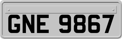 GNE9867