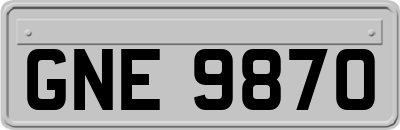 GNE9870