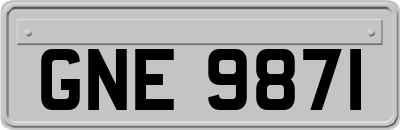 GNE9871