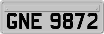 GNE9872