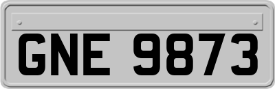 GNE9873
