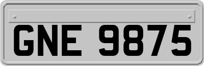 GNE9875